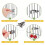 Distributeur de nourriture pour oiseaux, Clip d'alimentation en 4