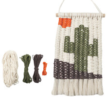 Cactus Craft Set With Cotton Rope And Wooden Beads For Home