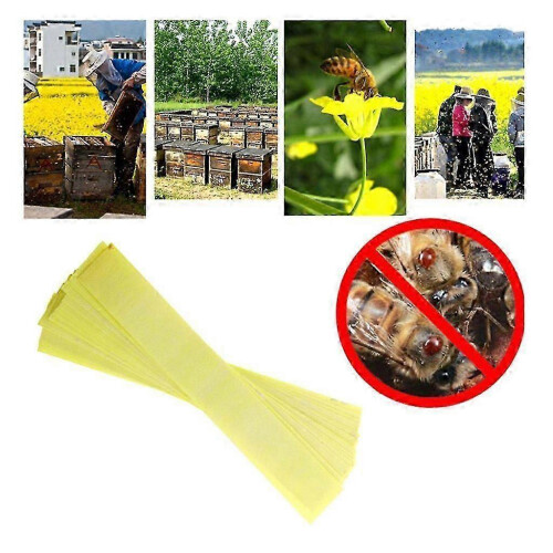 Varroa Strips Fluvalinate Bee Mite Killer Treatment Tools Beekeeping Pest 1