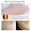 Tea Tree Acne Pimple Patch Pimple Removal Sticker Skin Care Patch 3