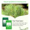 Tea Tree Acne Pimple Patch Pimple Removal Sticker Skin Care Patch 5