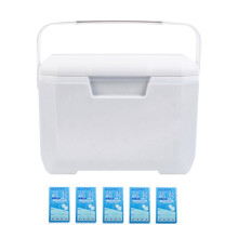 6L Portable Cooler Box with Heavy Duty Handle, Leakproof Insulated Ice Box for Camping, Beach and BBQ, White