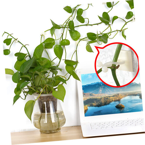 200pcs Self Adhesive Plant Wall Clips for Vines Durable Plastic Holders for Climbing Plants 2