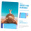 Beach Blanket Waterproof Sandproof Design Lightweight Foldable Picnic Mat for Camping 3