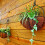 Christmas Light Hangers with Phillips Screws 40 Pack 5