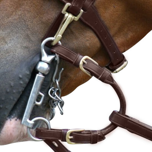 Whitaker Leather Horse Pelham Roundings 2