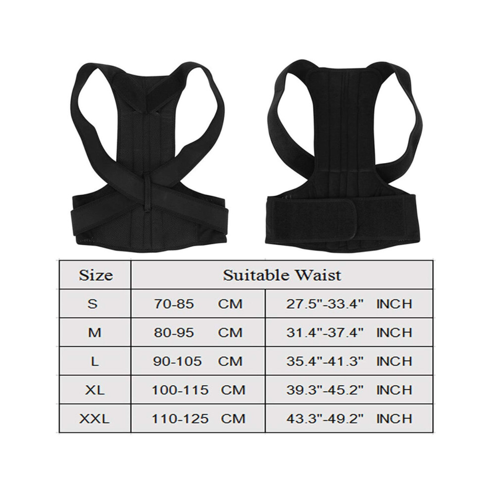 Posture Corrector Back Support Brace XXL Adjustable Lumbar Therapy Belt for Men and Women