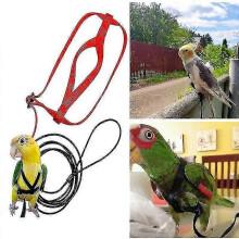 (M, Red) Pet Parrot Bird Harness Leash Adjustable Bird Flying Harness Traction Rope with Cute Wing f