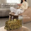 Retro Copper Train Essential Oil Diffuser and Humidifier with Dual Mist Modes, 2/8H Timer, Home Decor 2