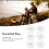 50pcs Round Bait Ring Clear Snowflake Carp Bands 4
