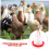 Automatic Chicken Waterer Thickened Plastic Poultry Water Dispenser for Chickens Quails Birds Red 3