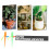 Self Watering Spikes 10 Pack, Adjustable Flow Automatic Plant Watering System for Potted Plants 3