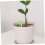Self Watering Spikes 10 Pack, Adjustable Flow Automatic Plant Watering System for Potted Plants 4