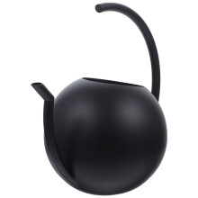Stainless Steel Watering Can with Long Spout for Indoor Outdoor Plants, Ergonomic Easy Grip