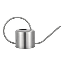 Small Stainless Steel Watering Can for Indoor Plants, Precise Long Spout, Gentle Controlled Flow