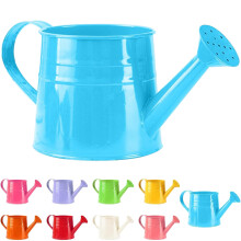 Metal Watering Can 1L Long Spout Rust Resistant for Indoor Plants and Garden Flowers Blue Finish