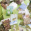 7 Sets 350 Sheets Vintage Sticker Book Colorfast 11