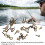 40PCS Rod Tip Repair Kit Ceramic/Steel Black/Gold 3