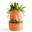 Whimsical Tribal Molded Face Pot produced From Durable 5