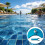 Flexible Swimming Pool Vacuum Head Designed For Debris Pickup 2