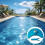 Flexible Swimming Pool Vacuum Head Designed For Debris Pickup 5