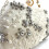 Stylish Glittering Beaded Evening Bag with Unique Shell-Black 6