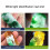 Professional Jewelry Mineral Identification Flashlight-baiguang 2