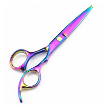 6 Inch Professional Hair Cutting Scissors with Ultra Sharp Blades, Ergonomic Design, Stainless Steel Barber Shears for Salon and Home Use