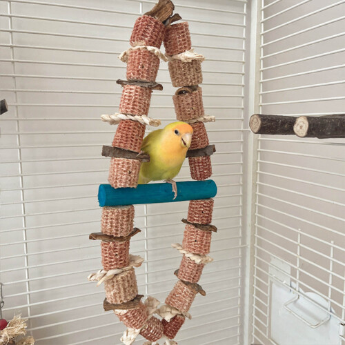 Parrot Corn Cob Chew Toy 23.2x5.9in Hanging Cage 2