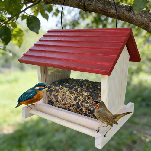 Mangeoire à oiseaux en bois naturel avec conception-Rouge 1