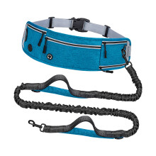Ligne de ceinture utile et cohérente pour les chiens de-Bleu