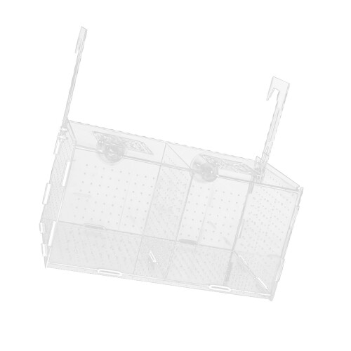 Two Compartment Acrylic Habitat Divider intended for-2