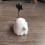 Statue de chien Spectres sur le thème d'Halloween fabriquée à 3