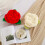 Camellias Pattern Knot Throw Pillow Sturdy Polyester-White Milk 5