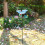 Weatherproofed Plastic Bird Feeder Automatic Sunlight-Purple 6