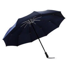 Windproof Travel Umbrella with 10Rib Design, Waterproof 210T Canopy, Compact Folding for Men and Women