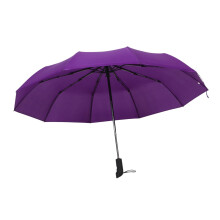 Automatic Windproof Golf Umbrella with Auto Open Close Compact Purple Design for Travel