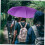 Automatic Windproof Golf Umbrella with Auto Open Close Compact Purple Design for Travel 5