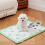Coussin de refroidissement confortable pour chien,-XS Latté rayé 5
