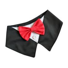Canvas Hond Bowtie Kraag Accessoire Gentleman Stijlen-XS