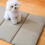 Coussin de refroidissement confortable pour-M Thé au lait à pois 3