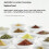Rechargeable Electric Spices Grinder With Transparent Window 4