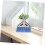 Mini Broom and Dustpan Set for Desk – Compact Desktop Cleaning Brush with Quick Sweep Efficiency 5
