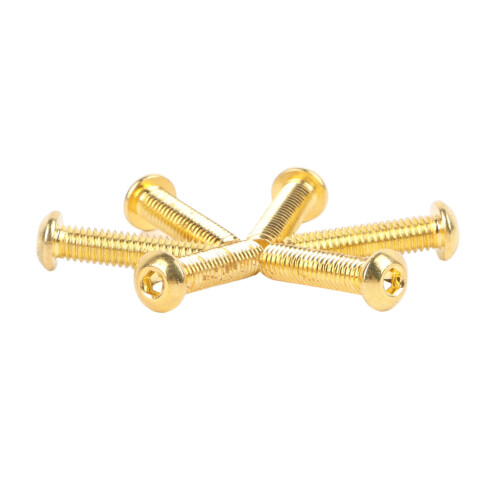 Goldene Schrauben Set E-Gitarre 6 Teile
