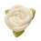 Camellias Pattern Knot Throw Pillow Sturdy Polyester-White Milk 1