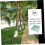 Tree Grate and Tree Guard with WaterPermeable Design, Interlocking Outdoor Landscape Protector 3