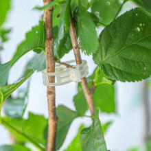 Plant Clips Vine Support Clips Reusable Quick‑Open Gentle Buckle Durable Plastic Holder for Garden and Tomato Plants