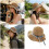 Trendy Round Crown Hat With Neck Coverage-Apricot rice 3