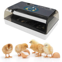 Automatic Egg Incubator 12‑35 Eggs with Digital Temperature Control, Small Poultry Hatcher for Chicken Duck Quail