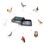 Automatic Egg Incubator 12‑35 Eggs with Digital Temperature Control, Small Poultry Hatcher for Chicken Duck Quail 2